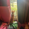 cat, orange_cat, window, curtains, table, green_cloth, remote_control, hello_kitty, blanket, bed, indoor, pet, collar, looking_out, furniture, daylight, room, pink, red_curtains, dark_curtains