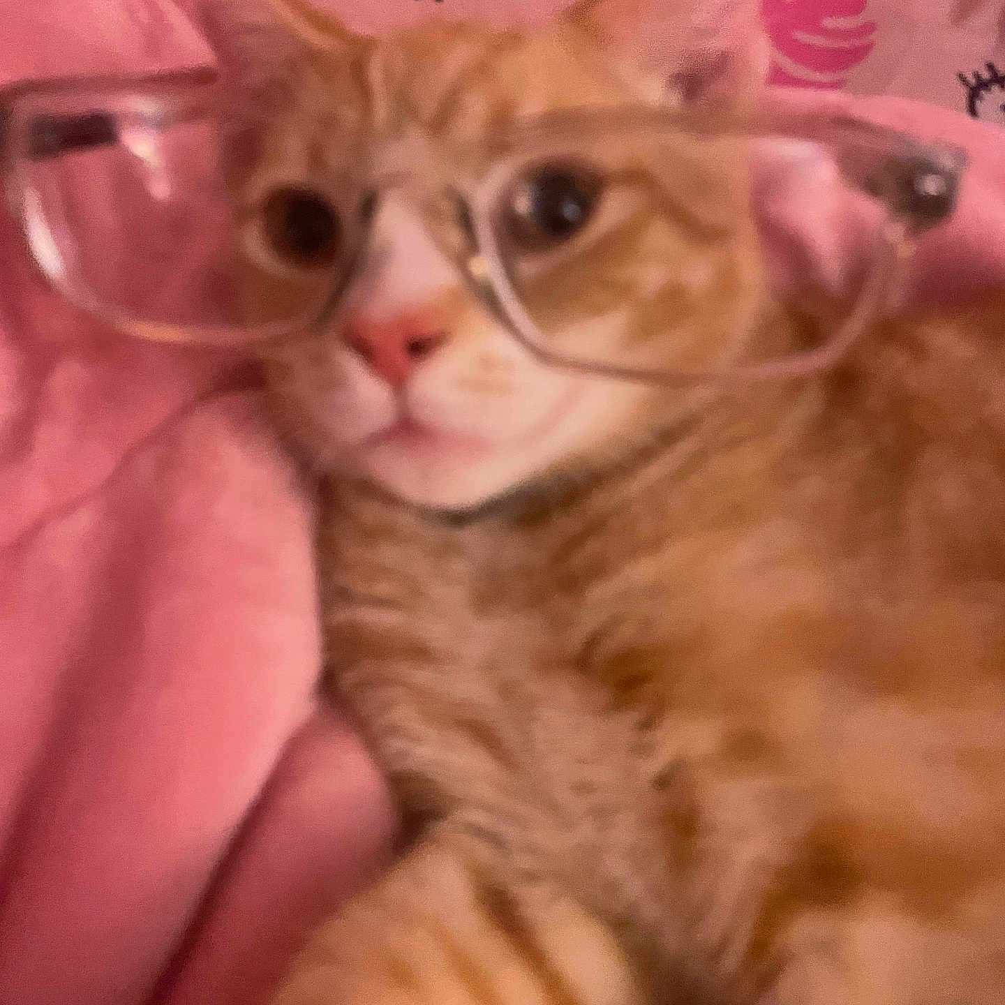 Simba