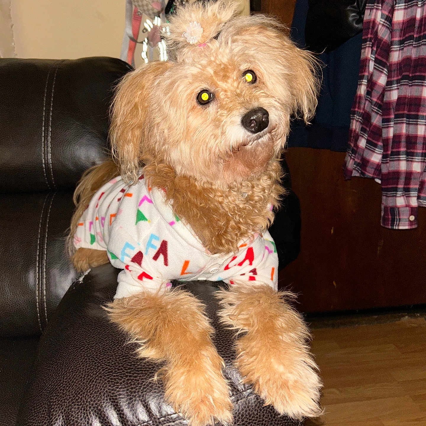 Fiona