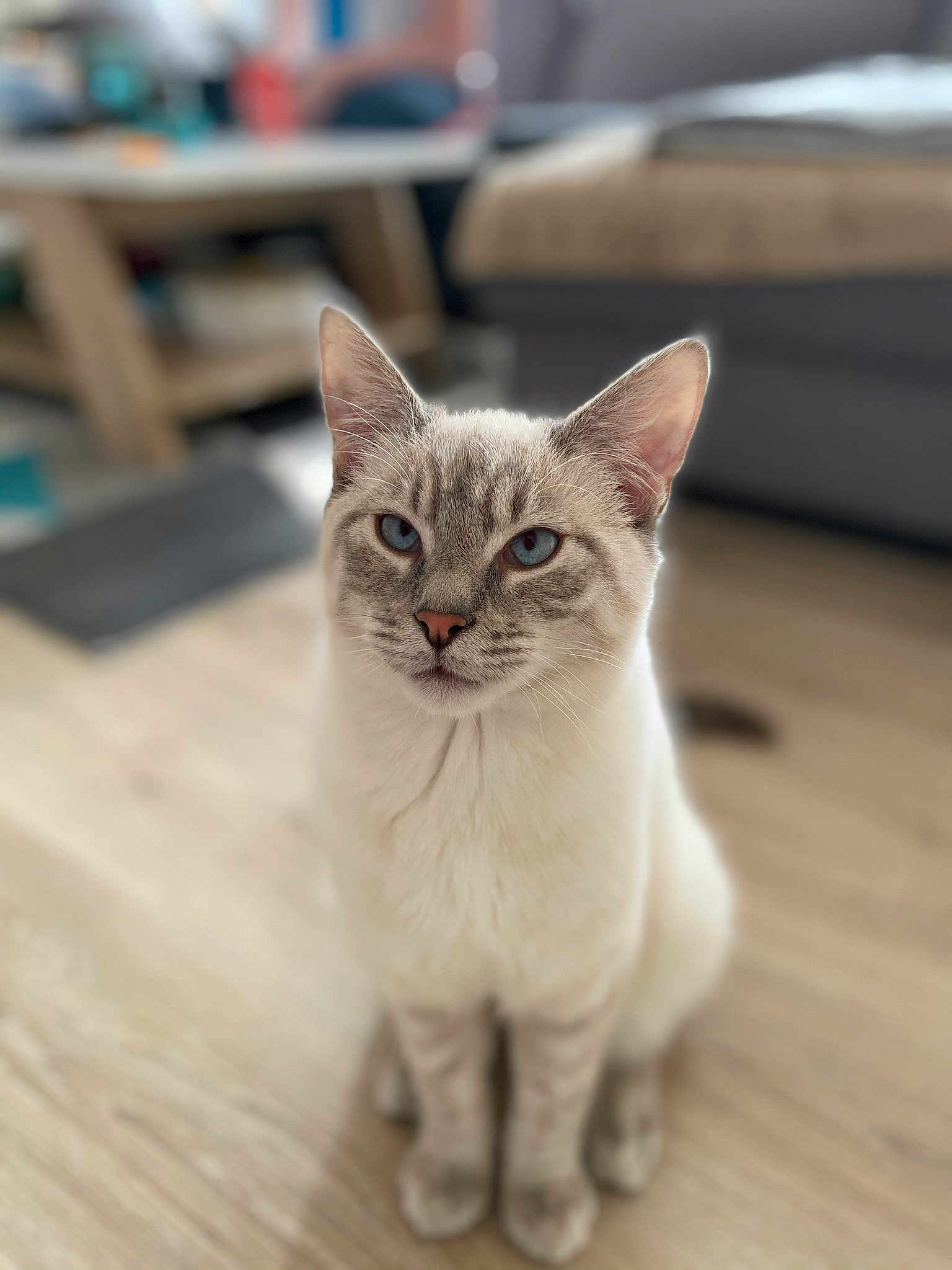 Murphy