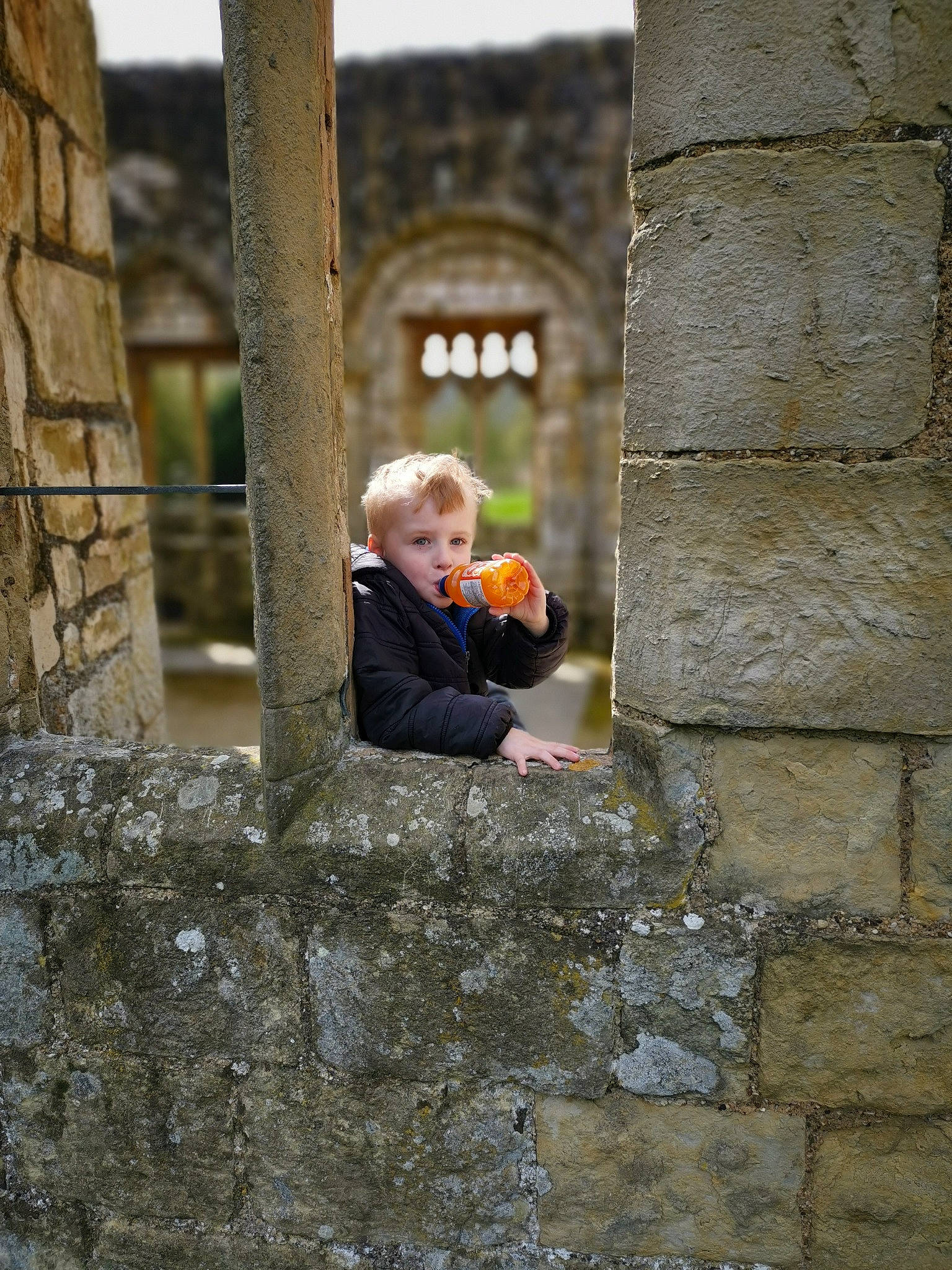 Oscar joined the competition — help win amazing prizes! arch, child, cobblestone, history, male, people, person, photograph, sitting, stone_wall, tourism, tree, vacation, wall, window