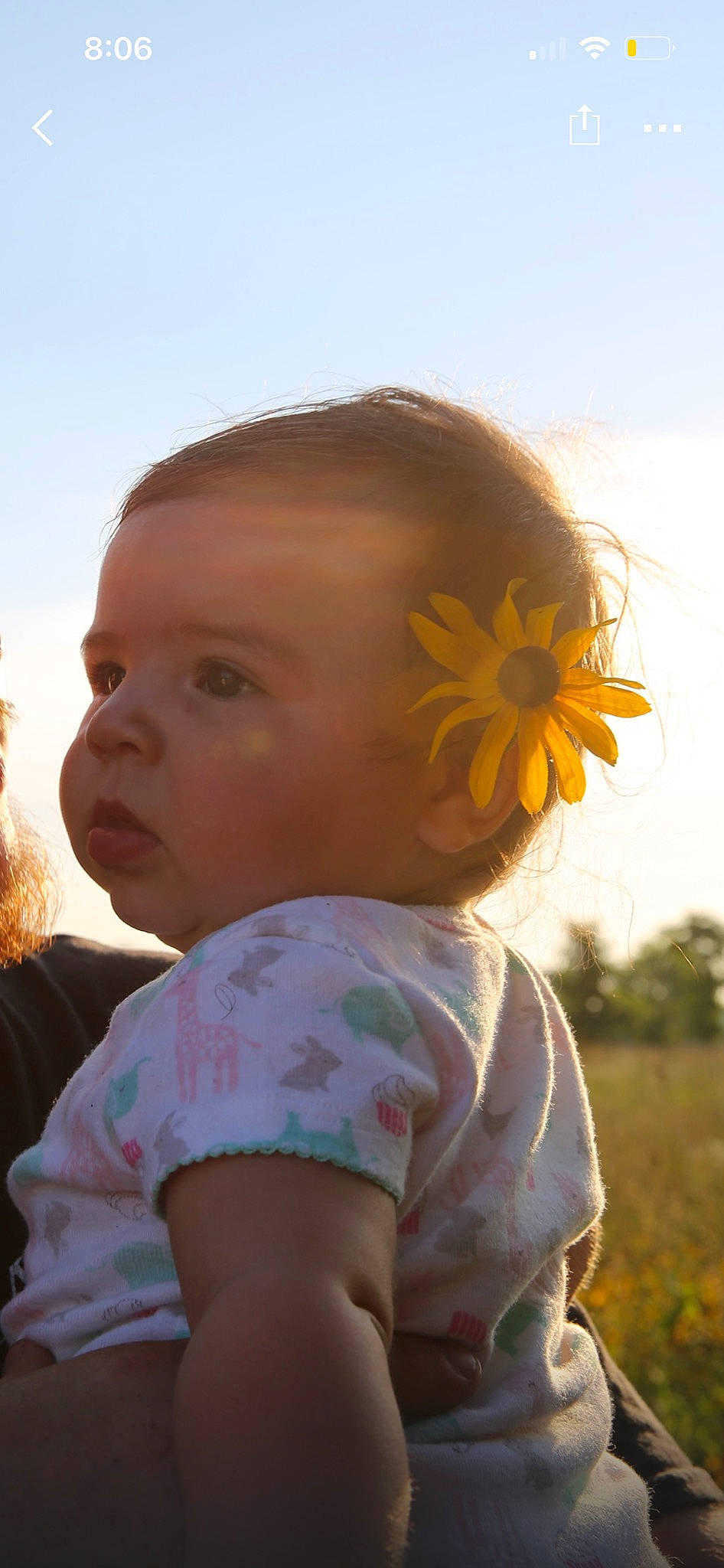 Brooklyn Alyssa Mcpeak is registered to the contest to win money with this photo: baby, close_up, eyewear, flower, fun, grass, hairstyle, happy, iris, lip, nose, people_in_nature, person, petal, plant, shoulder, skin, sky, sunlight, toddler
