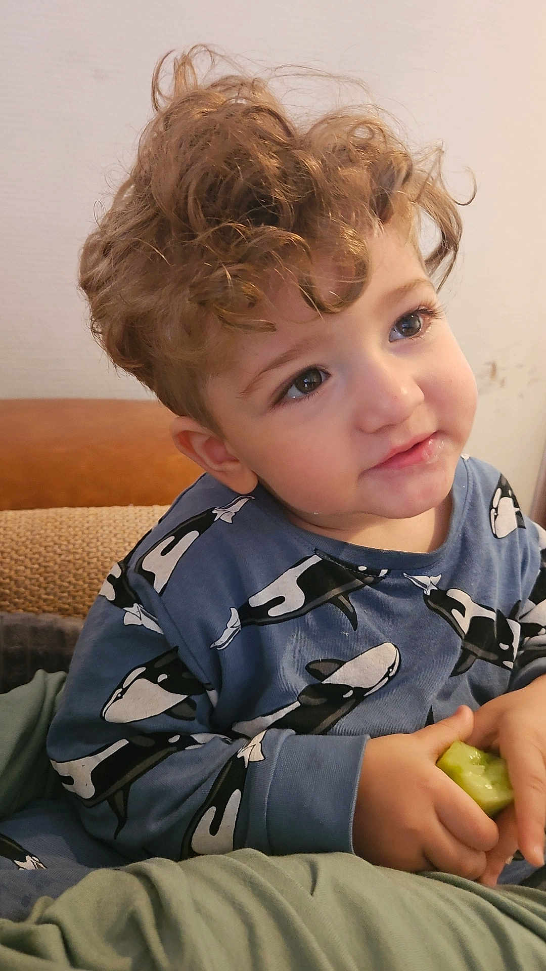 Nadim a rejoint le concours — aidez-le/la à gagner de superbes lots ! toddler, child, curly_hair, blue_shirt, orca_print, cucumber, hands, face, eyes, smile, indoor, cozy, soft_lighting, casual_clothing, seated, skin, young_child, cute, snack, portrait