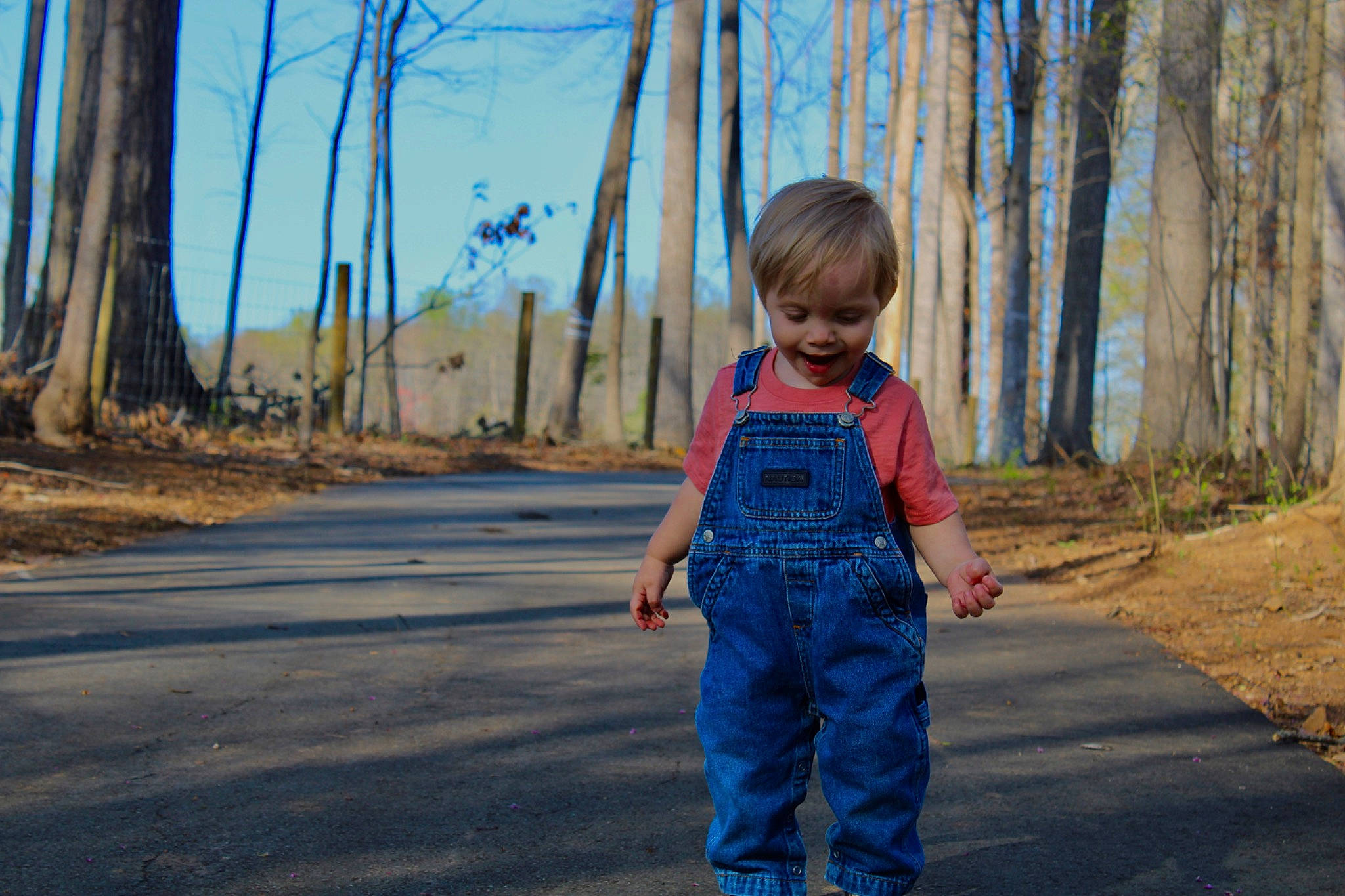 Kayden joined the competition — help win amazing prizes! asphalt, azure, baby_toddler_clothing, denim, electric_blue, forest, grass, happy, landscape, leisure, natural_landscape, people_in_nature, person, plant, sky, sleeve, sunlight, toddler, tree, wood