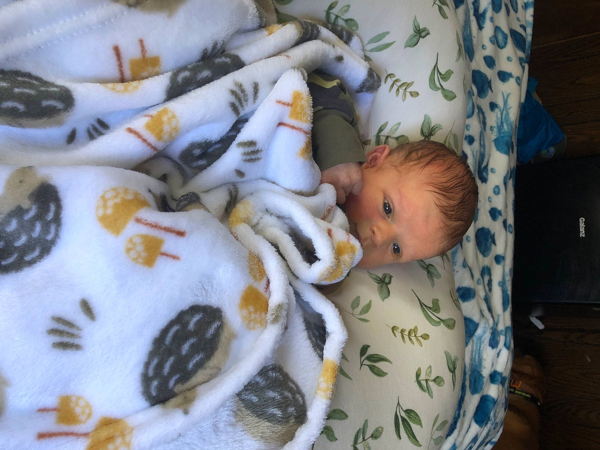 Jaxton joined the competition — help win amazing prizes! baby, baby_products, baby_toddler_clothing, baby_toys, bedding, bedtime, child, comfort, comfort_food, fur, linens, pattern, person, plush, room, sitting, stuffed_toy, textile, toddler, wood