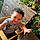 Jaylin