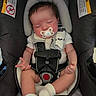 Nora joined the competition — help win amazing prizes! newborn, baby, infant, sleeping, car_seat, seatbelt, harness, pacifier, socks, clothing, portrait, face, child, indoors, transportation, safety, gray, cozy, chubby_cheeks, photograph