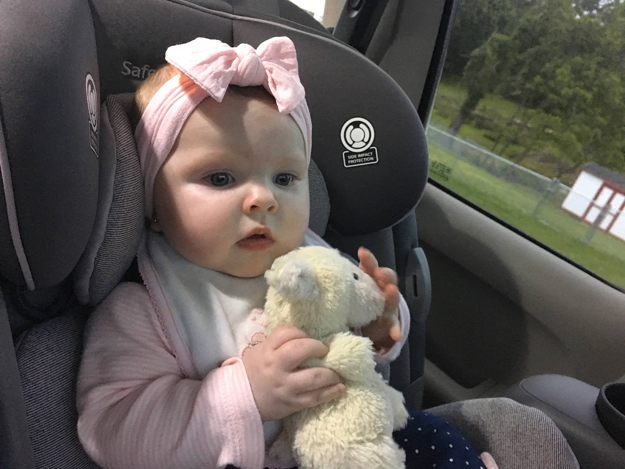 Kinsington is registered to the contest to win money with this photo: baby, car_seat, child, companion_dog, ear, person, toddler