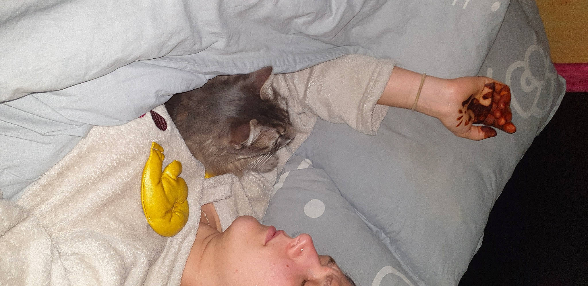 Minouche participe au concours pour gagner de l'argent avec cette photo : bed_sheet, bedding, carnivore, cat, comfort, domestic_short_haired_cat, felidae, finger, linens, organ, skin, small_to_medium_sized_cats, stuffed_toy, vertebrate, whiskers, wrist