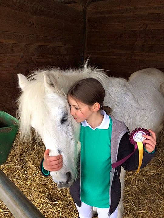 Blanche participe au concours pour gagner de l'argent avec cette photo : horse, horse_like_mammal, horse_supplies, livestock, mane, pony