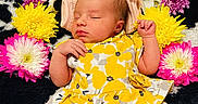 Alora joined the competition — help win amazing prizes! baby, newborn, sleeping, flower_crown, yellow_dress, floral_pattern, blanket, pink_flowers, white_flowers, purple_flowers, yellow_flowers, cute, peaceful, infant, portrait, resting, soft_texture, colorful, adorable, child
