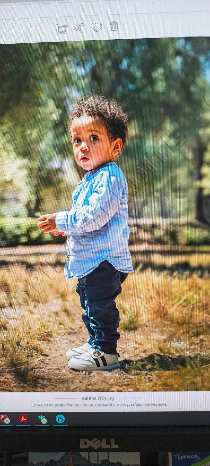 Sohan a rejoint le concours — aidez-le/la à gagner de superbes lots ! child, toddler, curly_hair, blue_shirt, dark_pants, white_sneakers, outdoor, nature, grass, trees, sunlight, standing, portrait, young_child, casual_clothing, park, daylight, curious_expression, person, walking_path