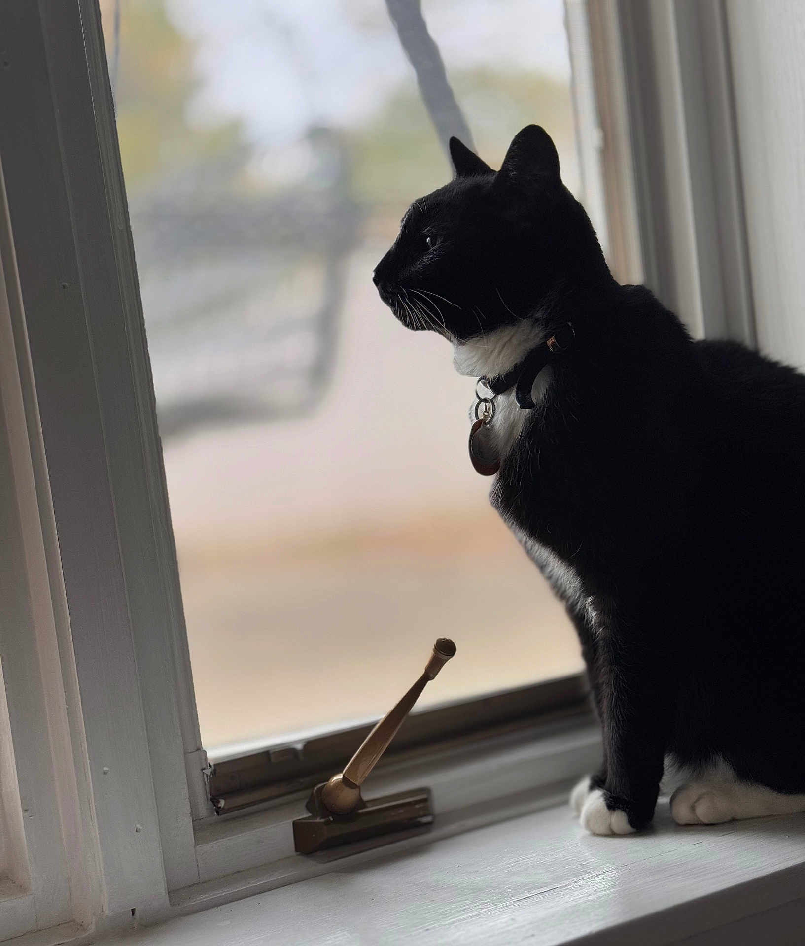 Logan