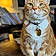 Mylo