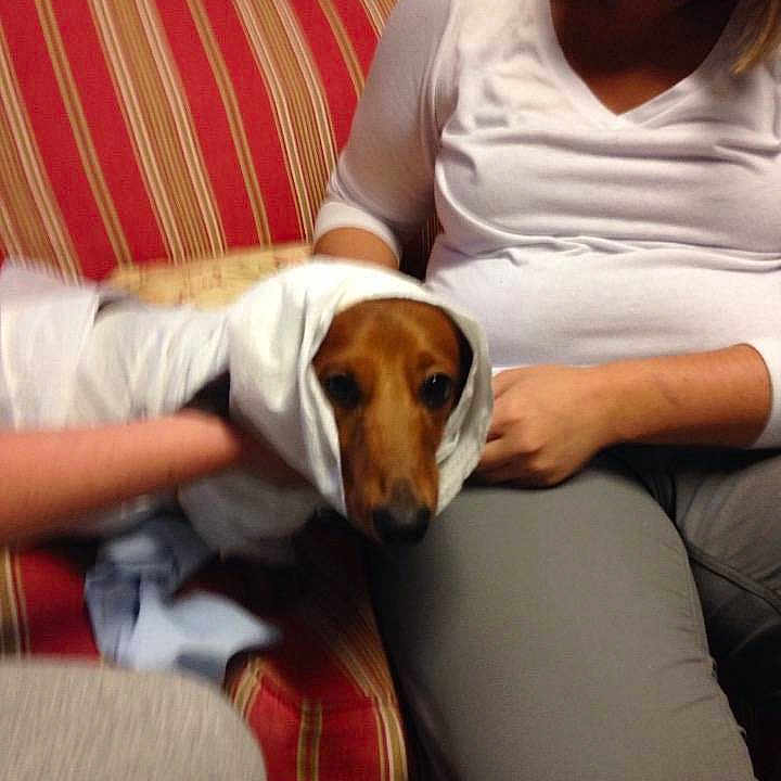 Bedford joined the competition — help win amazing prizes!