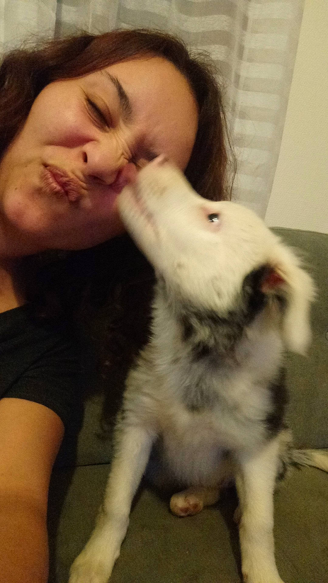 Elfy a rejoint le concours — aidez-le/la à gagner de superbes lots ! carnivore, companion_dog, dog, dog_breed, ear, eyelash, fawn, felidae, fur, gesture, happy, head, iris, jaw, nail, nose, organ, selfie, small_to_medium_sized_cats, whiskers