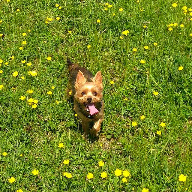 Toodles Moore is registered to the contest to win money with this photo: