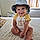 Noah