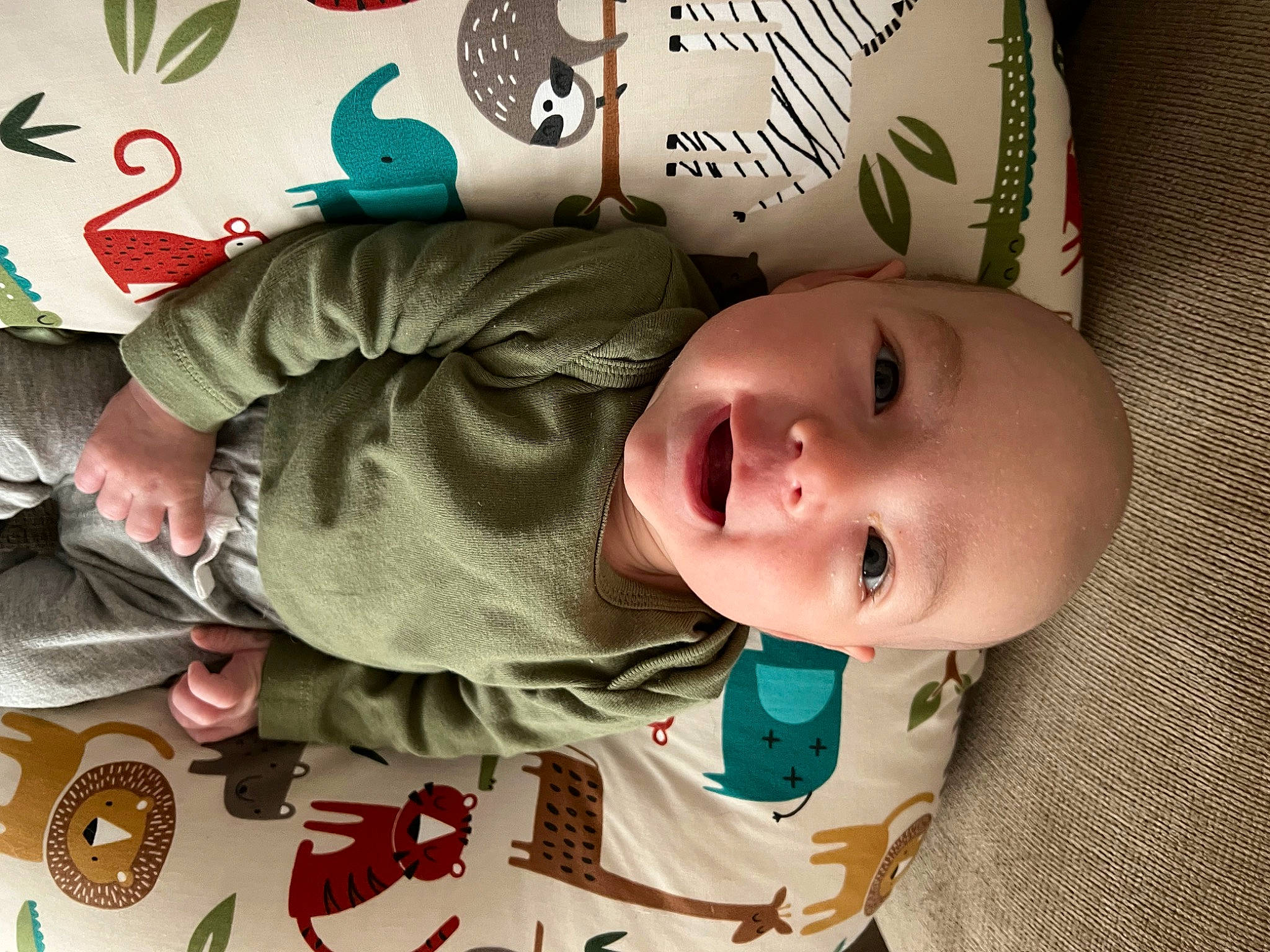 Beau joined the competition — help win amazing prizes! baby, baby_safety, baby_toddler_clothing, cheek, child, chin, comfort, facial_expression, happy, head, mammal, mouth, nose, person, product, skin, sleeve, smile, textile, toddler