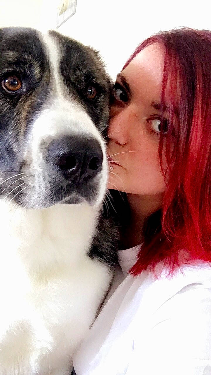 Leïa participe au concours pour gagner de l'argent avec cette photo : companion_dog, dog, dog_breed, dog_breed_group, dog_like_mammal, ear, fur, joy, nose, person, puppy_love, snout