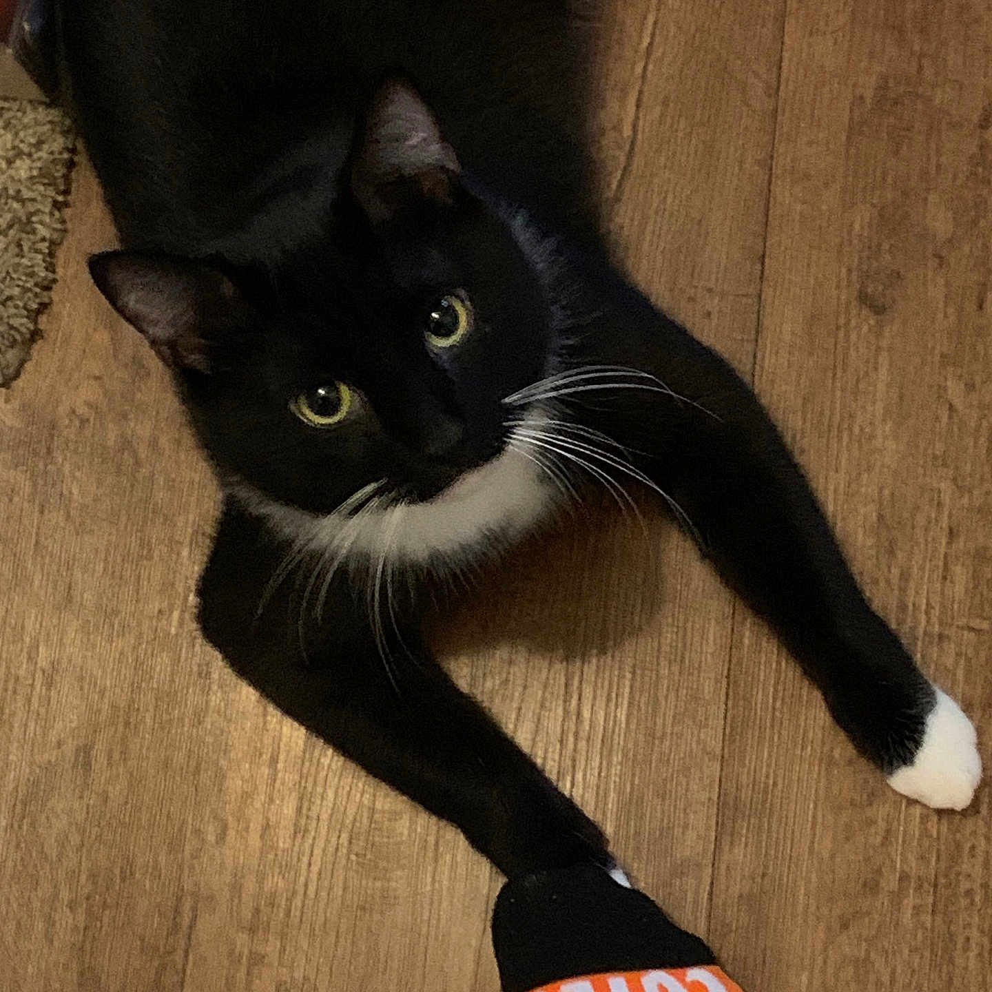 Mittens
