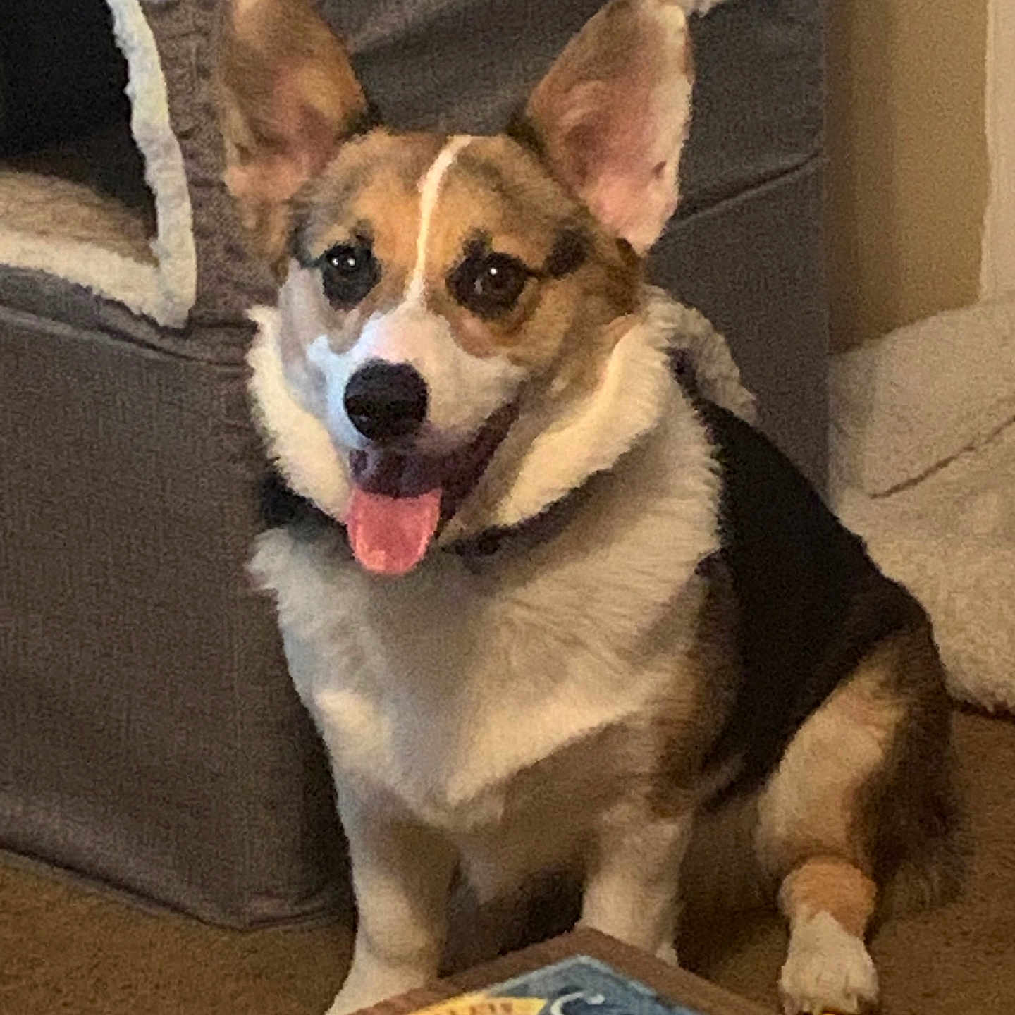 Chloe