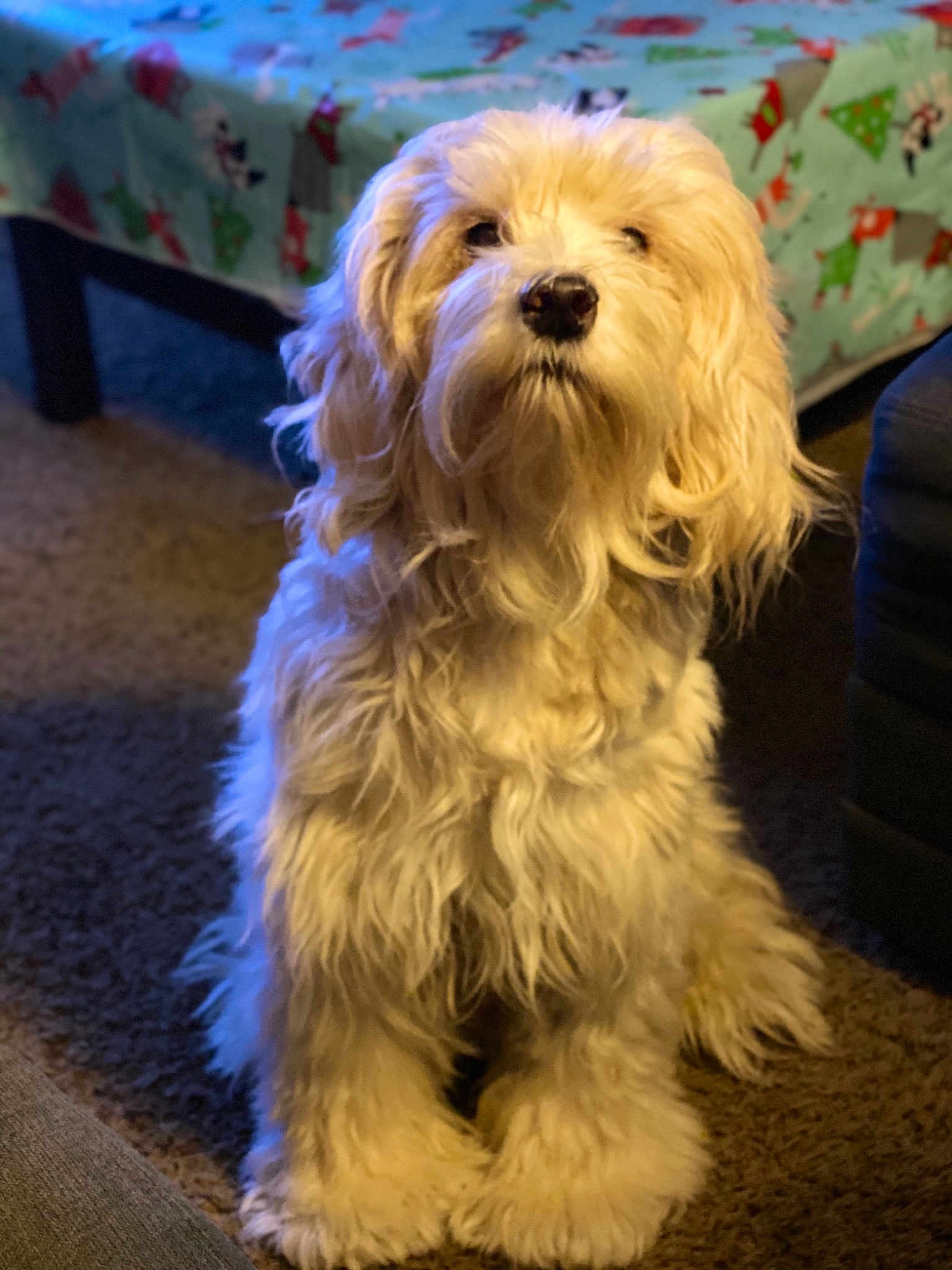 Merlin