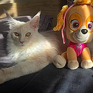 Tillion participe au concours pour gagner de l'argent avec cette photo : cat, dog_toy, plush_toy, white_cat, fluffy, long_hair, pet, animal, bed, bedroom, indoor, sunlight, shadow, sitting, lying_down, toy, cartoon_character, pink_outfit, portrait, companionship