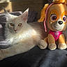 cat, dog_toy, plush_toy, white_cat, fluffy, long_hair, pet, animal, bed, bedroom, indoor, sunlight, shadow, sitting, lying_down, toy, cartoon_character, pink_outfit, portrait, companionship