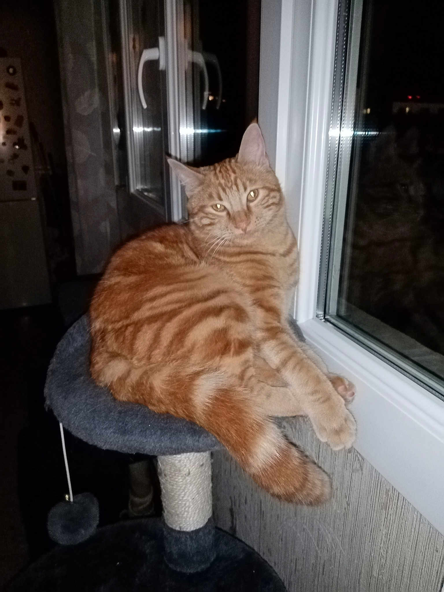 Oliver