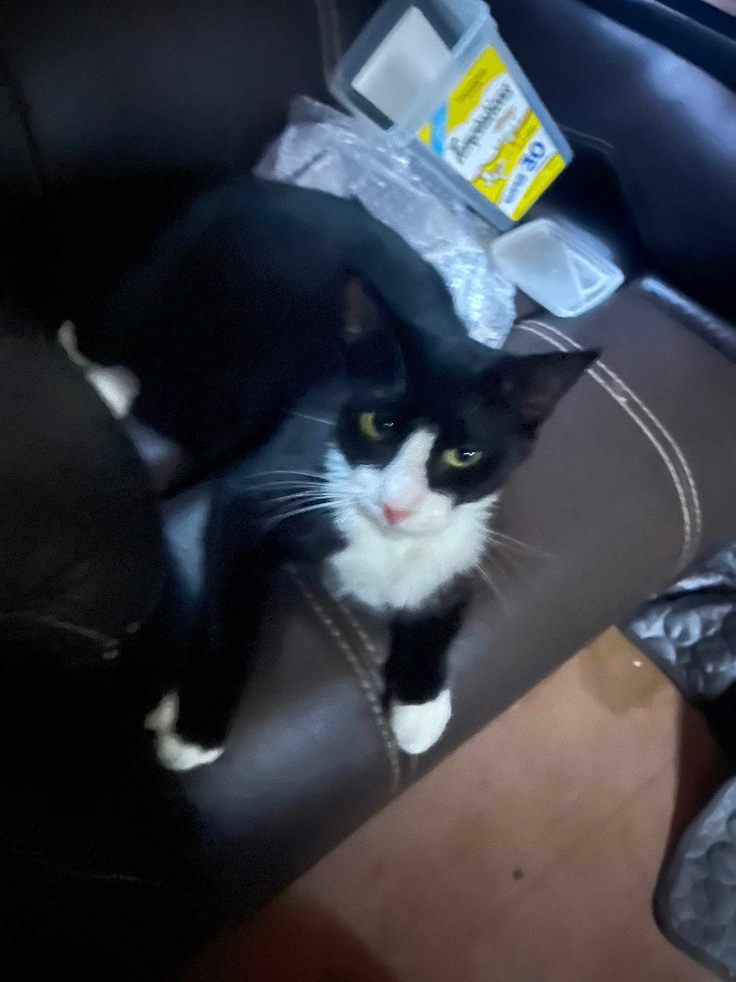Bandit