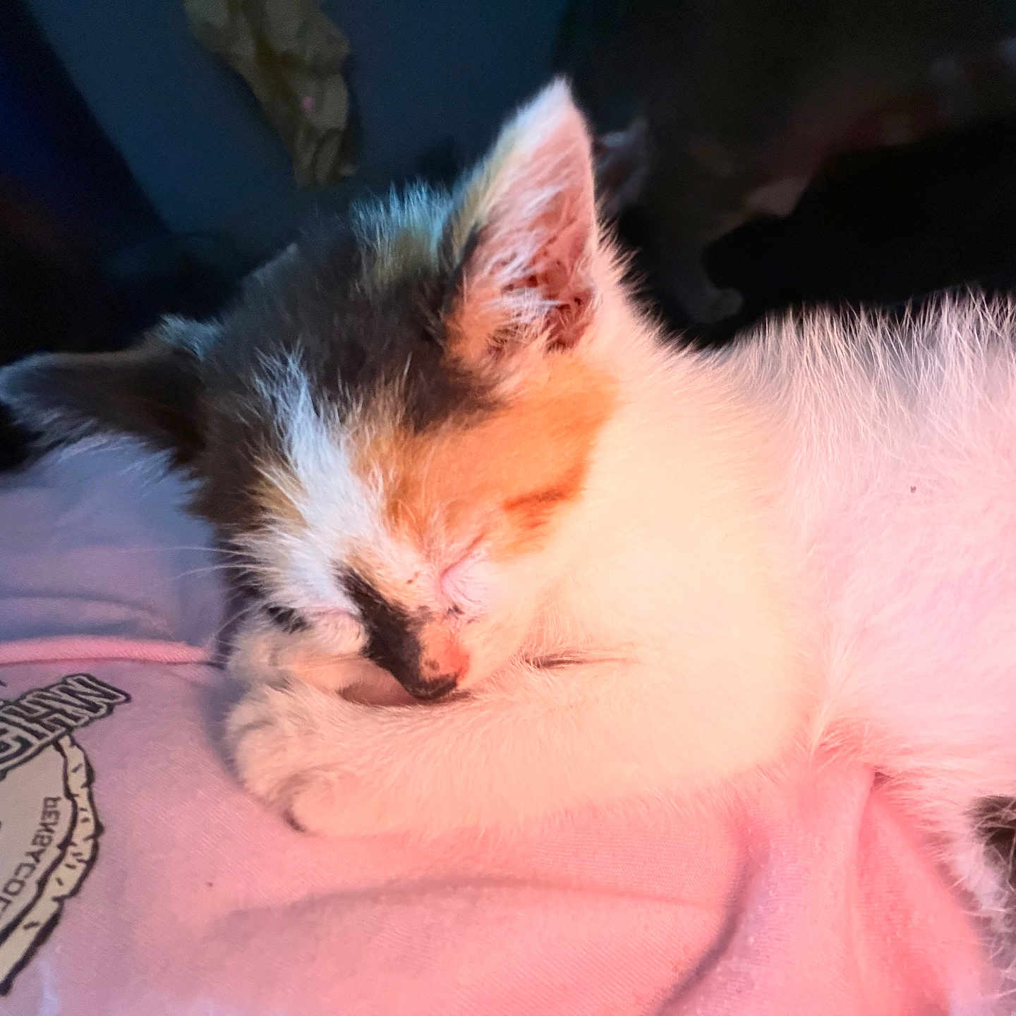 Soliana