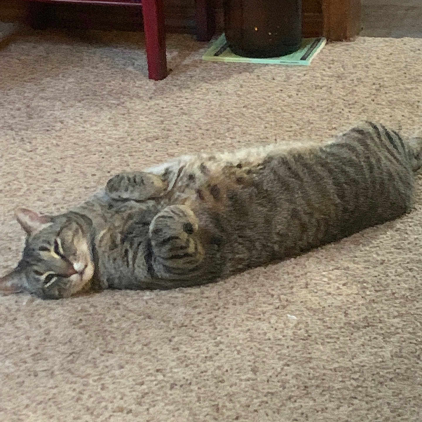 Gus