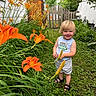 Xavier is registered to the contest to win money with this photo: child, toddler, blonde_hair, smiling, garden, flowers, orange_lilies, greenery, grass, plants, outdoor, summer, casual_clothing, sleeveless_shirt, shorts, sandals, nature, happy, daylight, fence