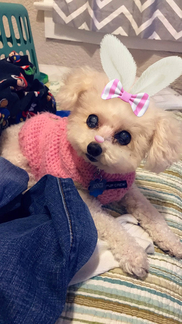 Annie