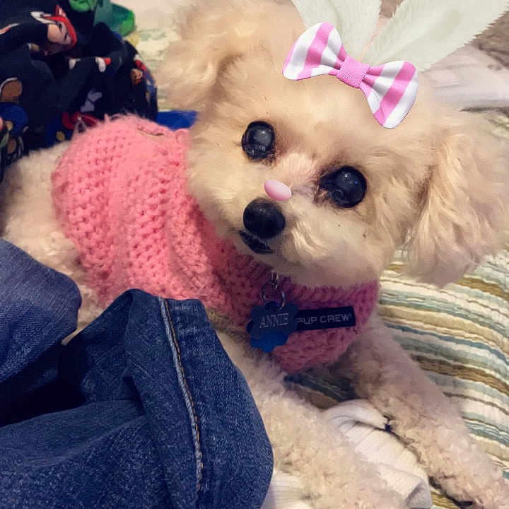 Annie