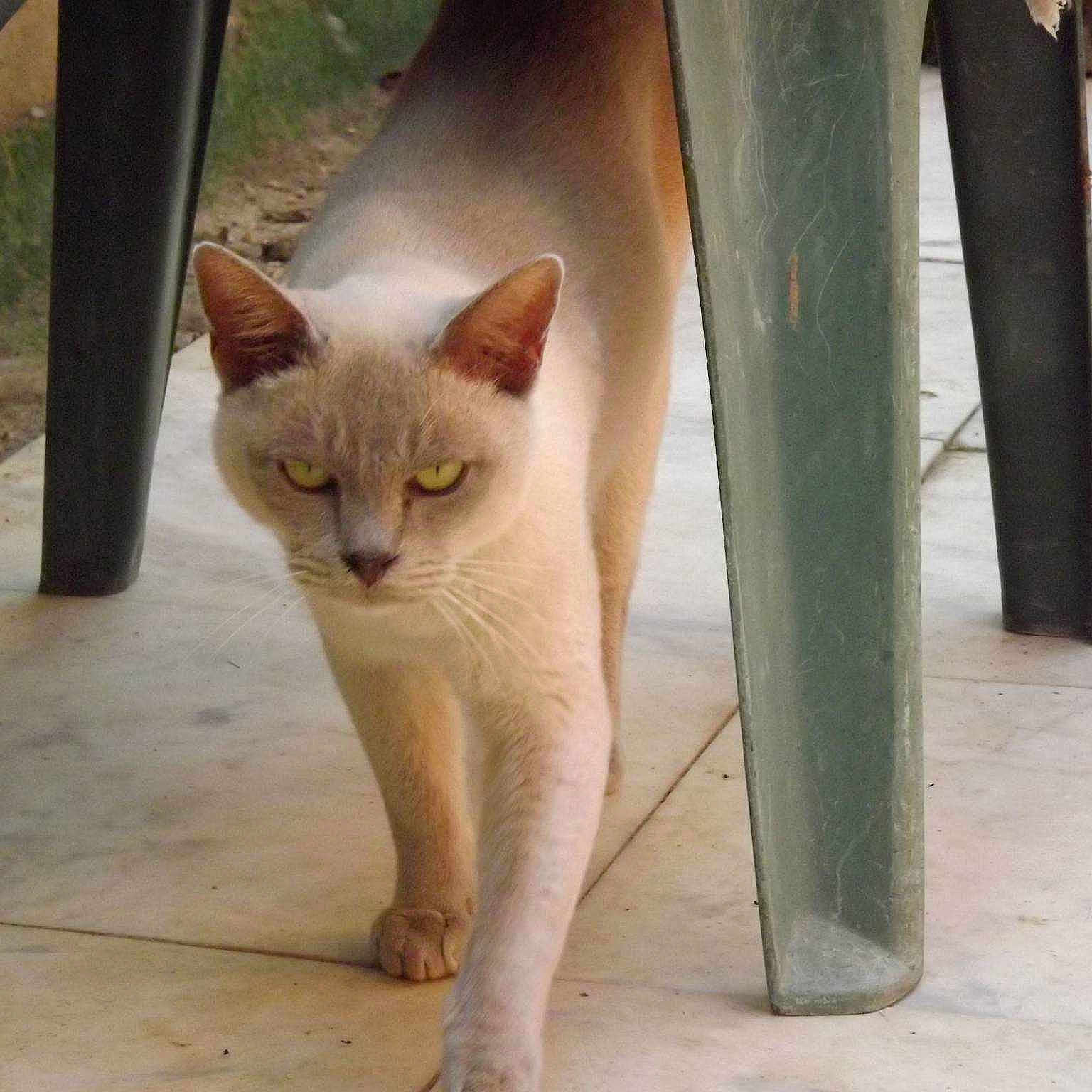 Donnington joined the competition — help win amazing prizes!