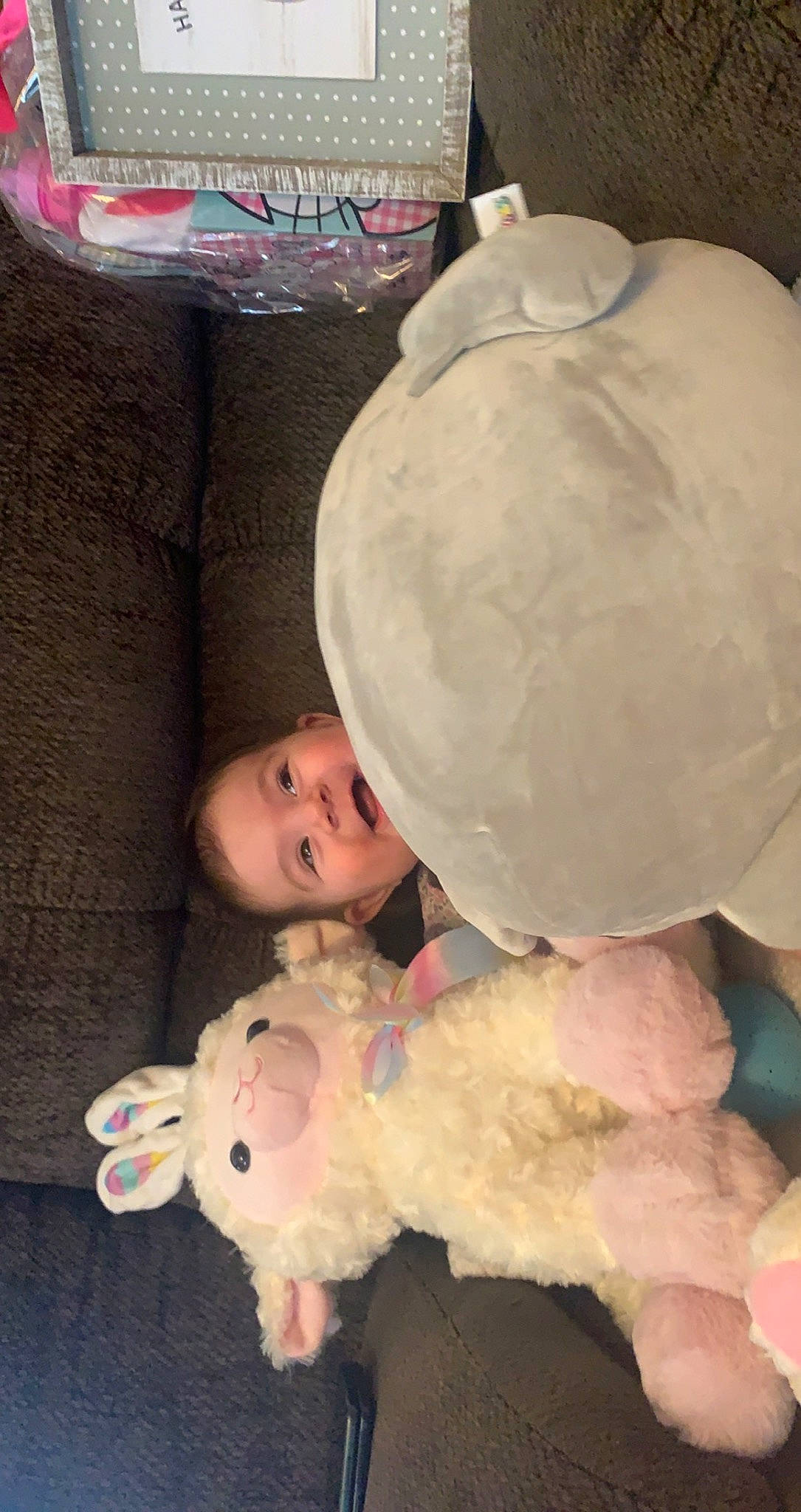 Kylie joined the competition — help win amazing prizes! baby, baby_toddler_clothing, cheek, child, event, flooring, fun, fur, happy, person, pink, play, room, smile, stuffed_toy, teddy_bear, toddler, toy, vacation, white