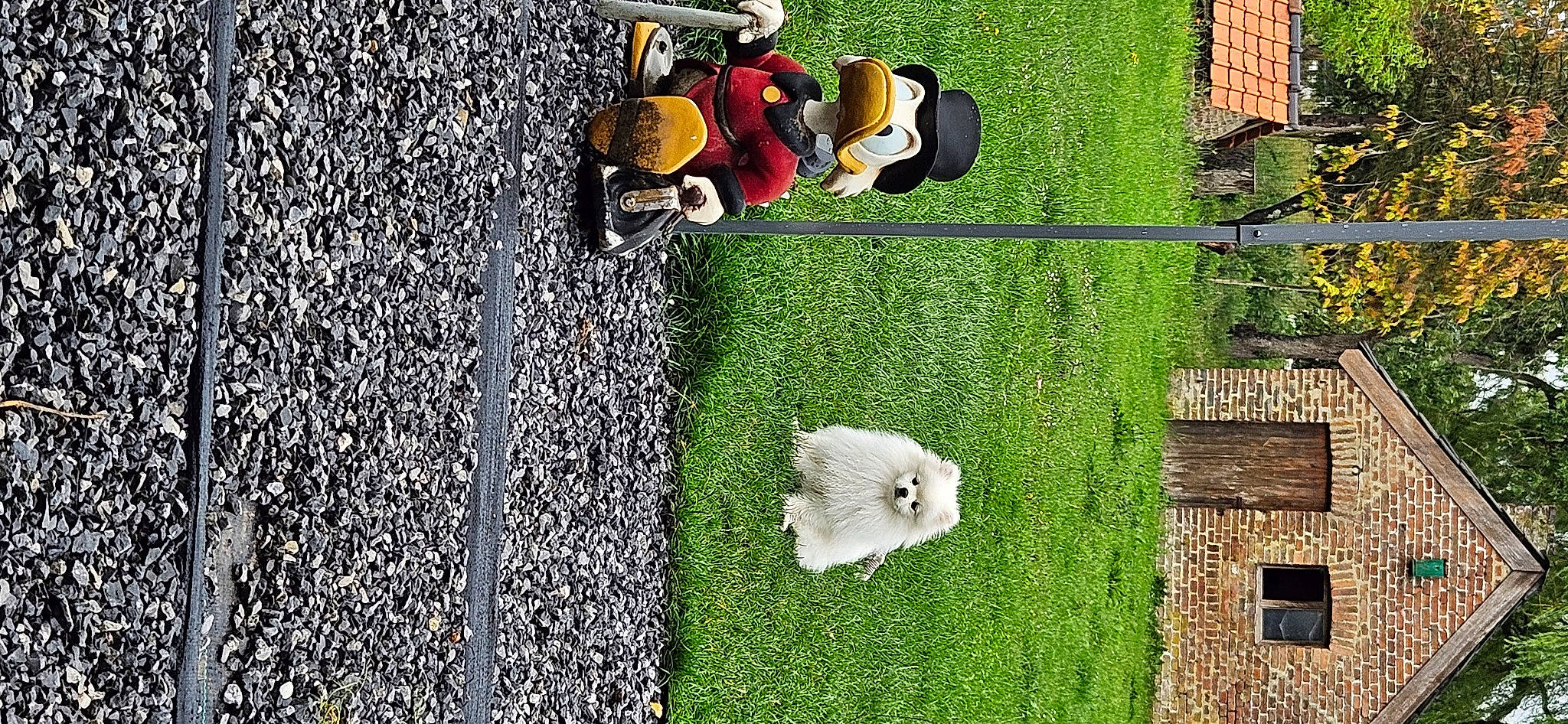 érika participe au concours pour gagner de l'argent avec cette photo : asphalt, field, font, games, grass, grass_family, grassland, groundcover, hedge, landscape, lawn, mammal, pasture, plant, shrub, tree, trunk, urban_design, vertebrate, wood