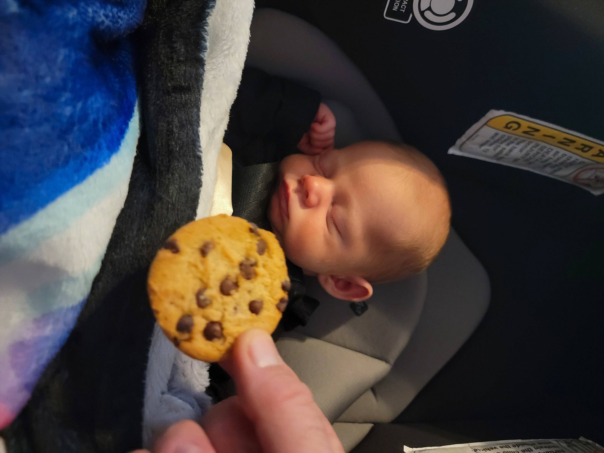 Anakin is registered to the contest to win money with this photo: baked_goods, baking, biscuit, chocolate_chip_cookie, comfort, comfort_food, cookie, cookies_and_crackers, cuisine, dessert, dish, finger_food, food, gluten, ingredient, person, recipe, stuffed_toy, sweetness, teddy_bear