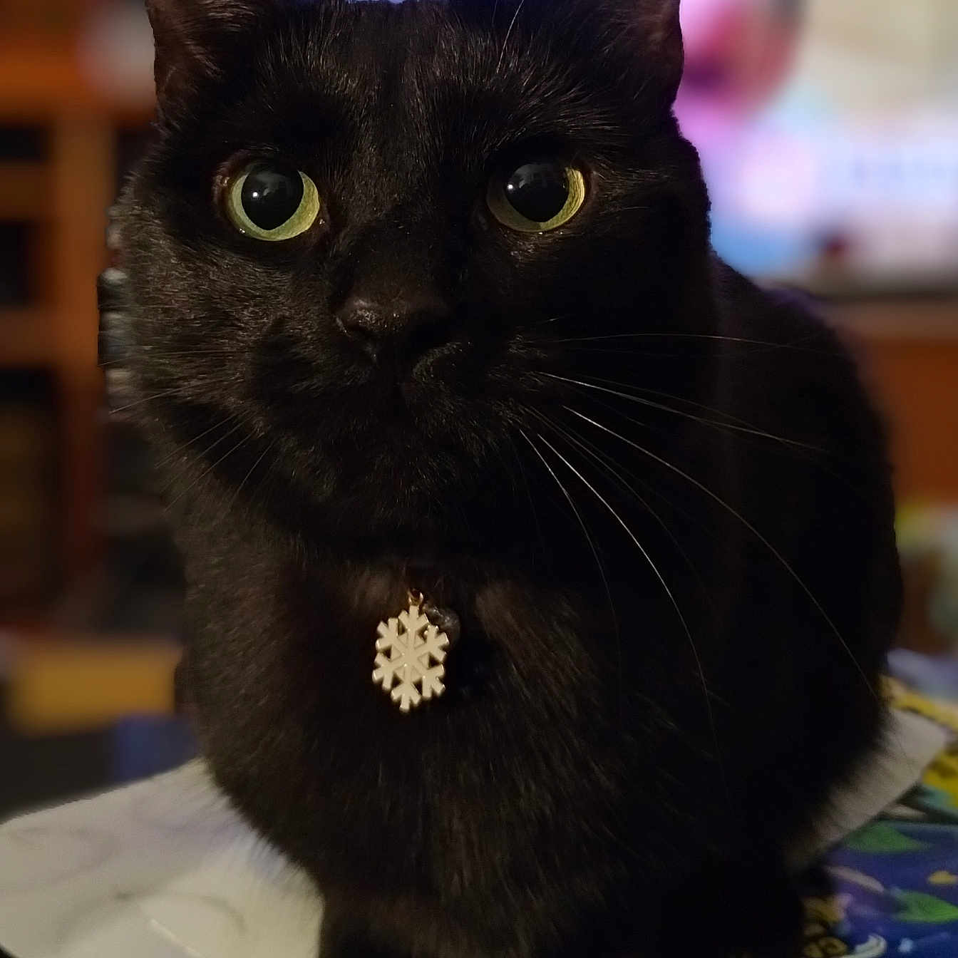Amara