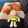 Eli Francis joined the competition — help win amazing prizes! dog, puppy, brown_dog, toy, buzz_lightyear, plush_toy, pillow, couch, indoor, pet, sleepy, relaxed, fluffy, fur, cute, small_dog, living_room, soft_texture, resting, comfort