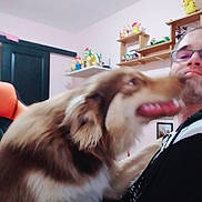 Ukkarian participe au concours pour gagner de l'argent avec cette photo : dog, man, indoor, shelf, toy, blur, smile, glasses, wall, furniture, brown_dog, happy, pet, playing, person, casual, home, background, sitting, decor