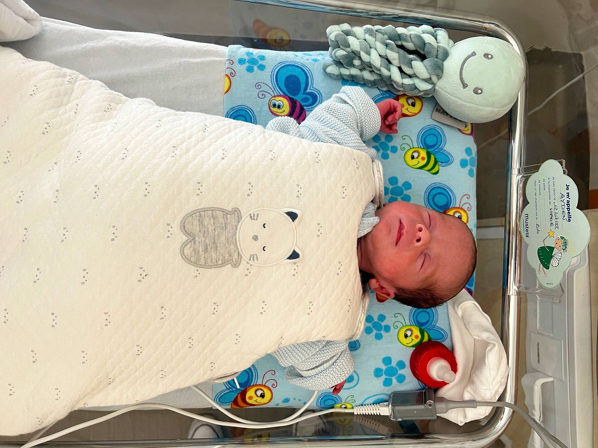 Ayden participe au concours pour gagner de l'argent avec cette photo : baby, baby_products, baby_safety, baby_sleeping, baby_toddler_clothing, baby_toys, bed, bedding, bedtime, child, comfort, cradle, infant_bed, linens, pattern, person, room, sleeve, textile, toddler