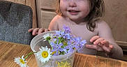 Willow joined the competition — help win amazing prizes! toddler, child, flowers, plastic_cup, table, wooden_table, kitchen, cabinet, chair, wildflowers, daisies, purple_flowers, yellow_flowers, curly_hair, person, indoor, smiling, young_child, casual, home