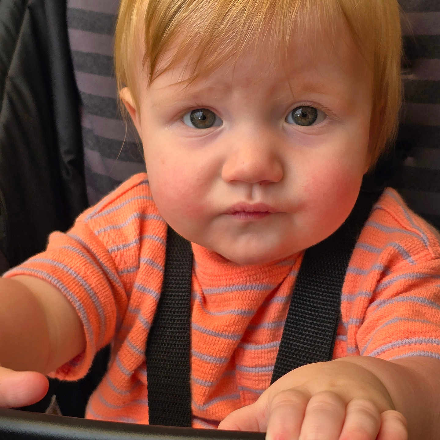 Colson joined the competition — help win amazing prizes! accessories, baby, belt, bodypart, car, car_interior, carseat, clothing, face, finger, hand, head, person, photography, portrait, seatbelt, strap, t_shirt, transportation, vehicle