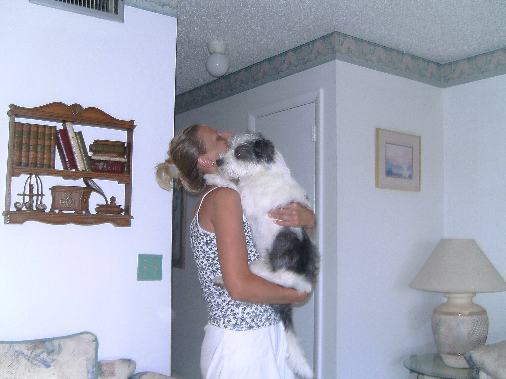 Fitzy joined the competition — help win amazing prizes! art, beard, bridal_clothing, comfort, companion_dog, couch, dog_breed, event, fawn, felidae, fur, grey, hug, interior_design, lamp, living_room, picture_frame, room, sporting_group, visual_arts