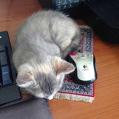 Betty-jo joined the competition — help win amazing prizes!