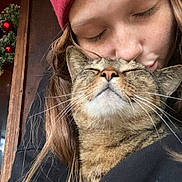 Dexter is registered to the contest to win money with this photo: person, cat, tabby_cat, beanie, hat, kiss, hug, closed_eyes, content, indoor, wreath, holiday_decor, face, long_hair, warm_clothing, cozy, affection, pet, feline, love