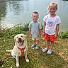 boy, casual_clothing, child, daytime, dog, footwear, girl, golden_retriever, grass, happy, harness, lake, leash, nature, outdoor, smiling, summer, sunny, trees, water